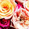 Designers Choice - Image 2