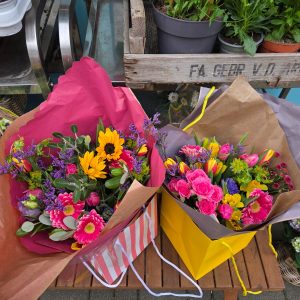 Spring Bunches